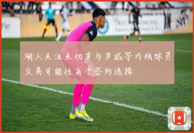 湖人关注米切罗与罗威等内线球员交易可能性高于签约选择